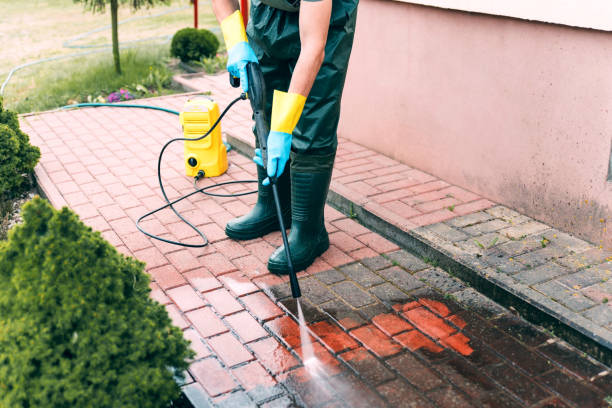 Best Soft Washing for Delicate Surfaces in Emory, TX